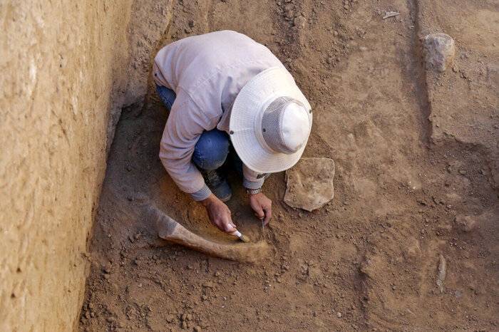 توجه به حوزه میراث فرهنگی یکی از راههای تحقق اقتصاد غیرنفتی توجه به حوزه میراث فرهنگی یکی از راههای تحقق اقتصاد غیرنفتی