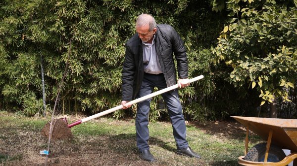 مردم با مشارکت در کاشت درخت به بهبود محیط زیست کشور کمک کنند مردم با مشارکت در کاشت درخت به بهبود محیط زیست کشور کمک کنند