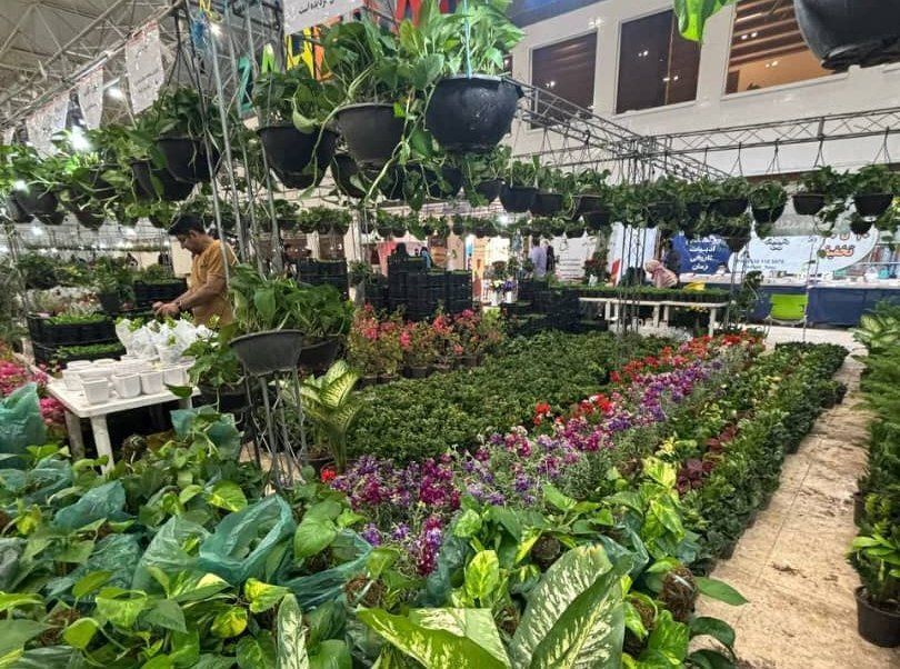 آغاز به کار نمایشگاه گل و گیاه در زاهدان آغاز به کار نمایشگاه گل و گیاه در زاهدان