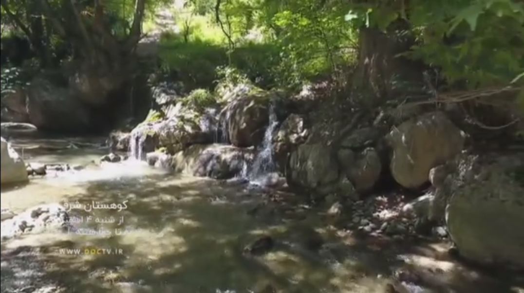 پخش مستندهای دیدنی از شبکه مستند پخش مستندهای دیدنی از شبکه مستند