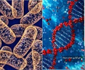 از انقراض گیاهان که حافظان آب و خاک در زمین هستند جلوگیری کنیم از انقراض گیاهان که حافظان آب و خاک در زمین هستند جلوگیری کنیم