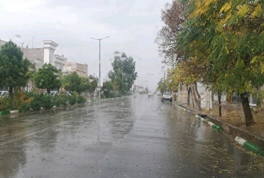 وزش باد شدید و بارش باران در زنجان