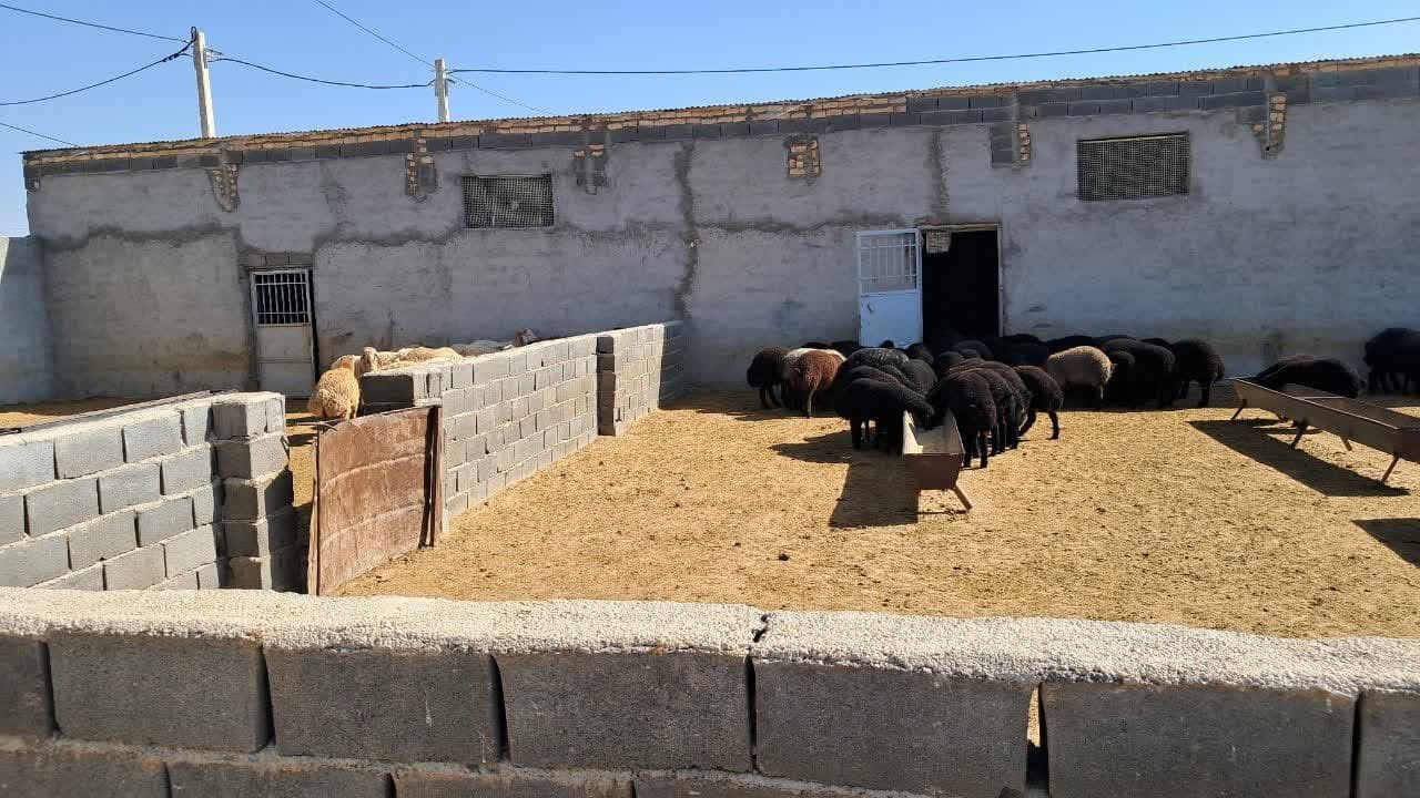 تحویل ۳۰ دستگاه صحفه خورشیدی به عشایر خراسان‌شمالی