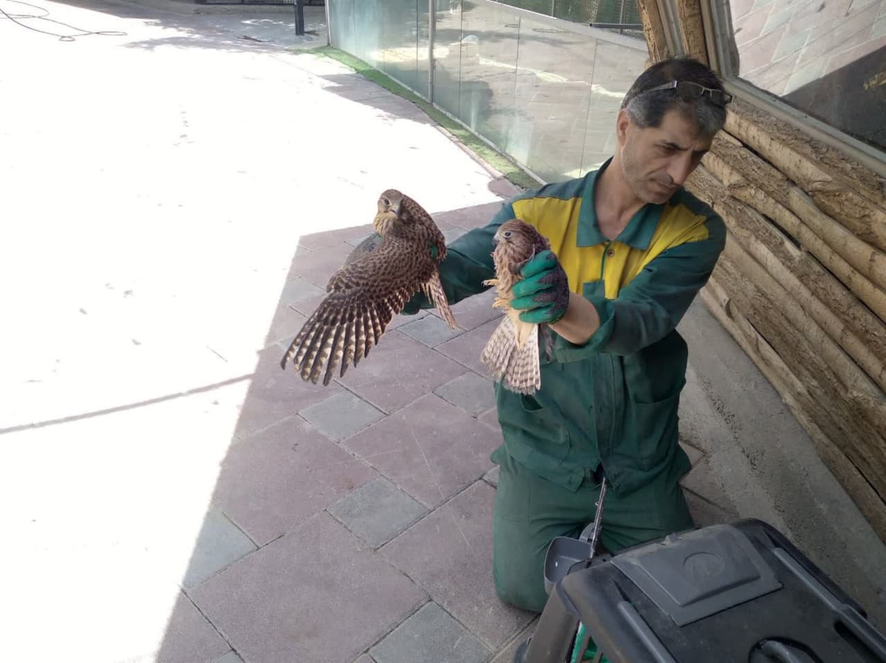 دو بهله دلیجه به محیط بانان کرج تحویل داده شد