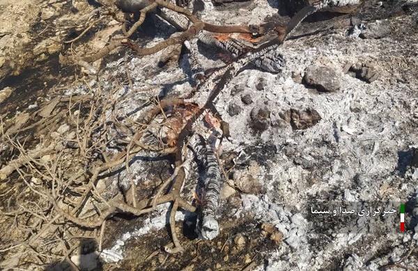 اطفای کامل حریق جنگلهای پلدختر اطفای کامل حریق جنگلهای پلدختر