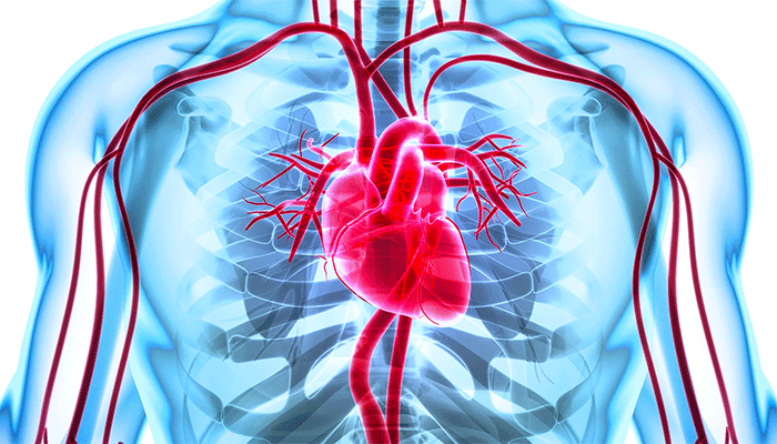 فشار خون؛ بیماری خاموشی که ناگهان جان می گیرد فشار خون؛ بیماری خاموشی که ناگهان جان می گیرد