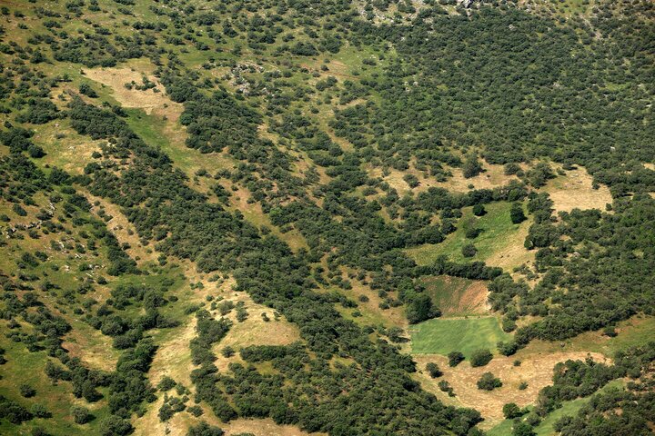 نابودی تدریجی زاگرس؛ انتقال بحران از شمال به غرب کشور نابودی تدریجی زاگرس؛ انتقال بحران از شمال به غرب کشور