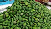 وقتی سر و کله میوه‌های نوبرانه با نرخ‌های عجیب، پیدا می‌شه