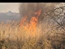 آتش‌سوزی اراضی مرزی در پارس‌آباد مهار شد