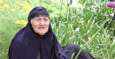 امرار معاش بانوی روستایی با بهره گیری از ظرفیت های طبیعی استان