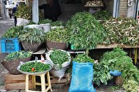 بازار داغ گیاهان خوراکی در مهاباد