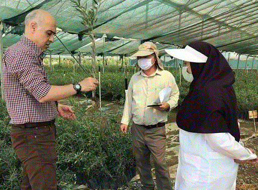 ۷ هزار نفر عضو بسیج جامعه کشاورزی آذربایجان‌غربی هستند