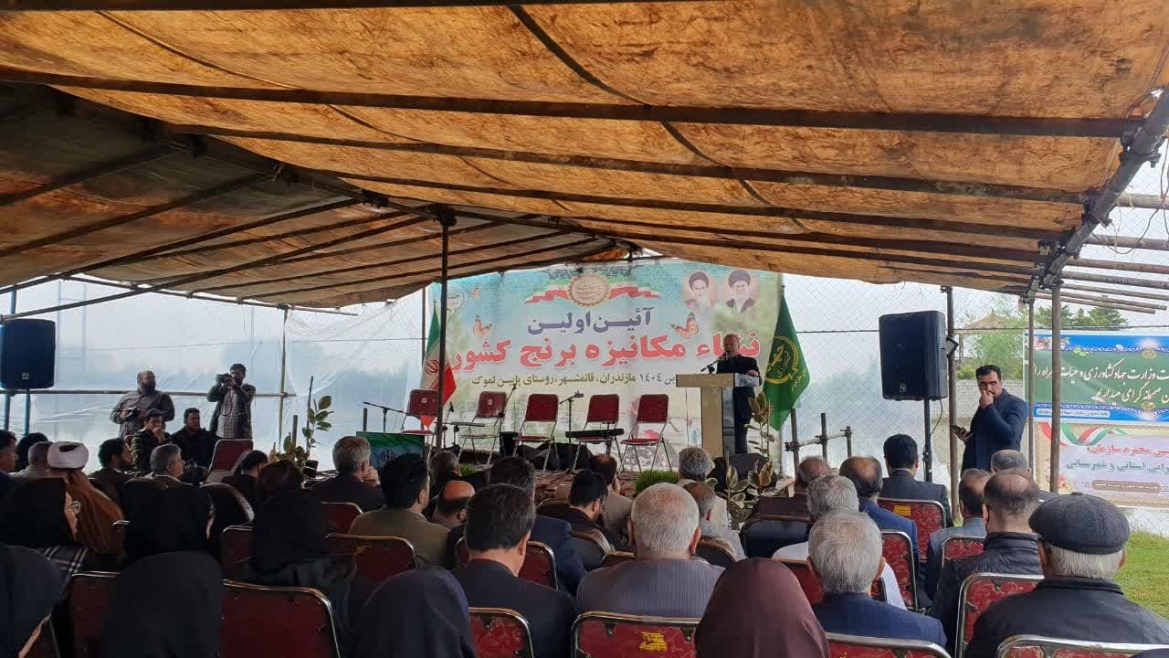 آغاز نشاء برنج در شالیزارهای مازندران آغاز نشاء برنج در شالیزارهای مازندران