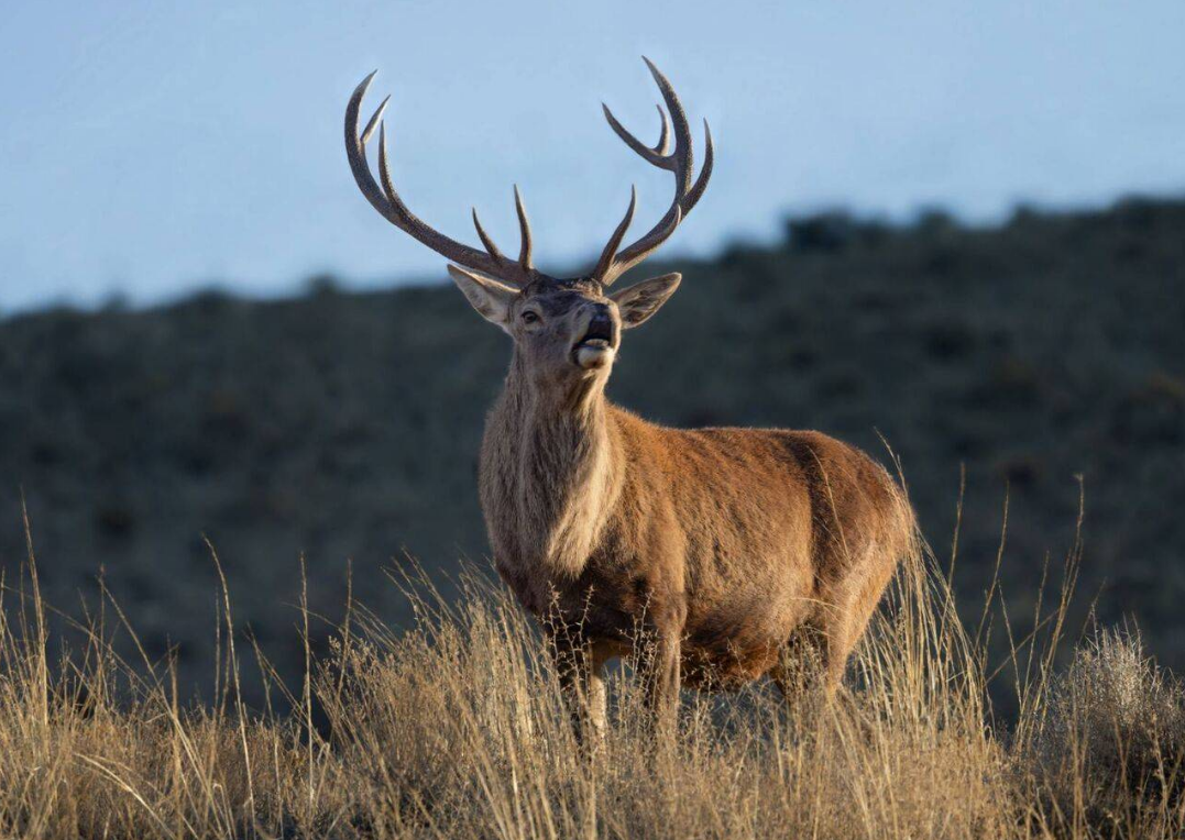پخش مستندهای جذاب از قاب شبکه های سیما