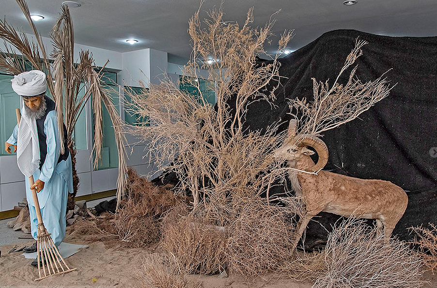 بازدید رایگان از موزه‌ها و بنا‌های تاریخی سیستان و بلوچستان