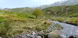 کوه‌گل، دریاچه‌ای زیبا در کوهستان دنا