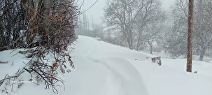 بارش بیش از نیم متری برف در شمال سمنان