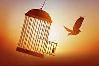 آزادی ۲۶ زندانی از جمله ۵ محکوم به قصاص