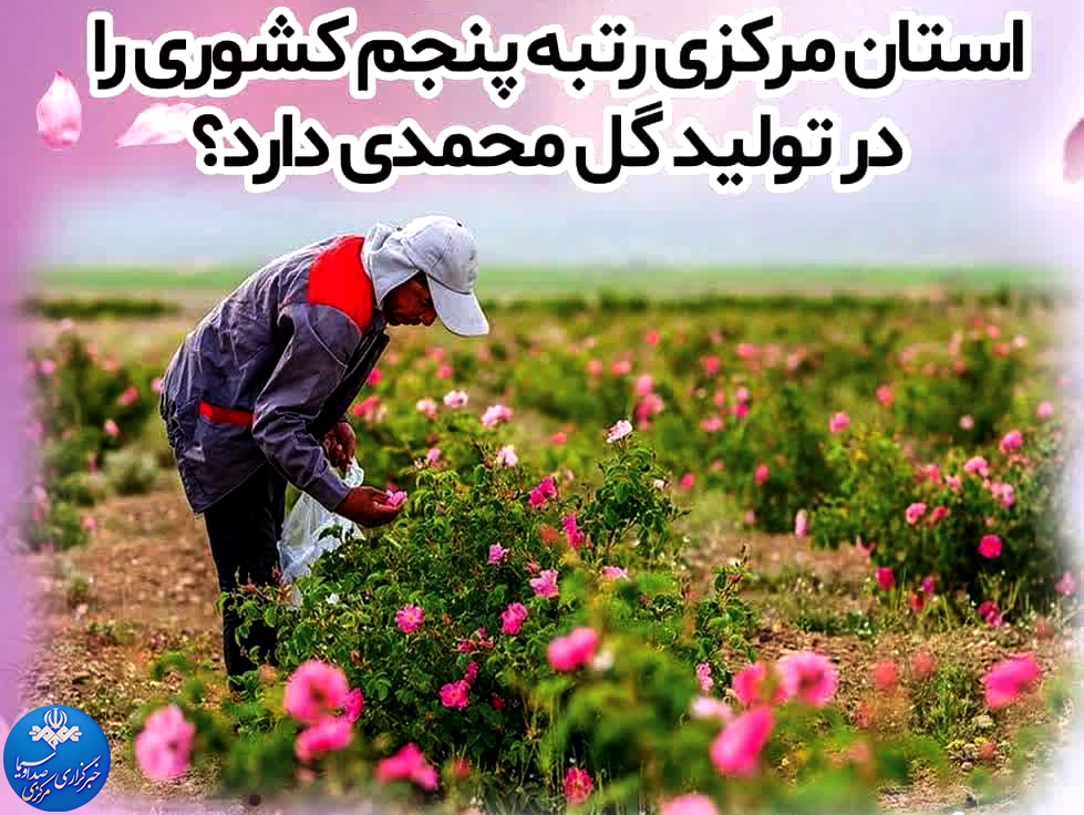 رتبه پنجم در تولید گیاه سودآور و مقاوم به خشکسالی