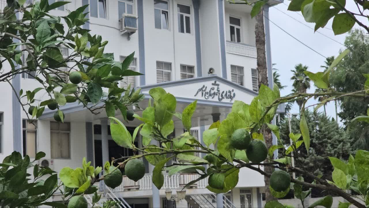 باغ مرکبات در دل فرمانداری رامسر رویید باغ مرکبات در دل فرمانداری رامسر رویید