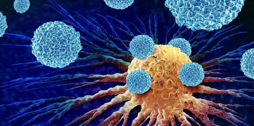 درمان ترکیبی سهگانه، کلید شکست مقاومت سرطان پوست درمان ترکیبی سهگانه، کلید شکست مقاومت سرطان پوست