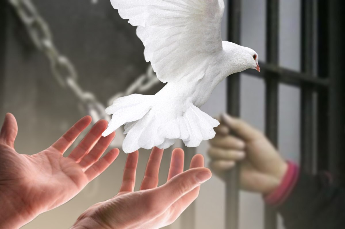 بخشش یک محکوم به قصاص در دامغان