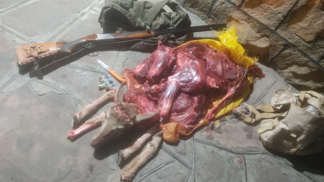 دستگیری گروه شکارچیان غیرمجاز  در دامغان