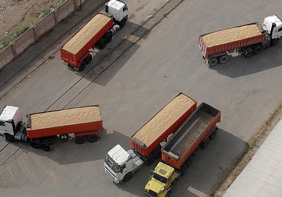 ** واریز مطالبات باقیمانده گندمکاران