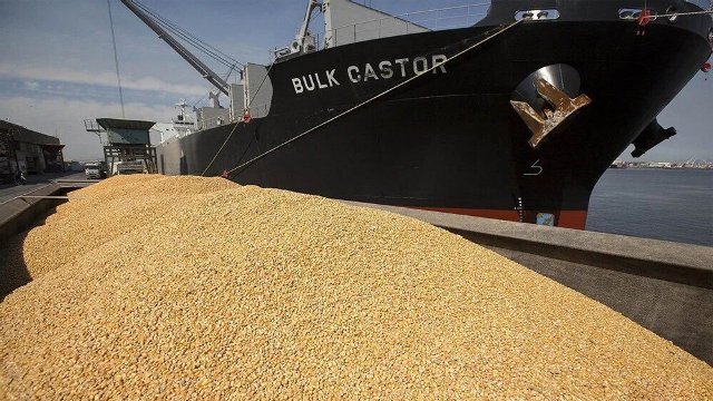 برخورد با گرانفروشی نهاده های دامی در بازارگاه برخورد با گرانفروشی نهاده های دامی در بازارگاه