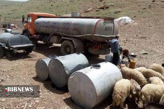 آبرسانی به ۶۰ درصد عشایر از طریق تانکر سیار انجام میشود آبرسانی به ۶۰ درصد عشایر از طریق تانکر سیار انجام میشود