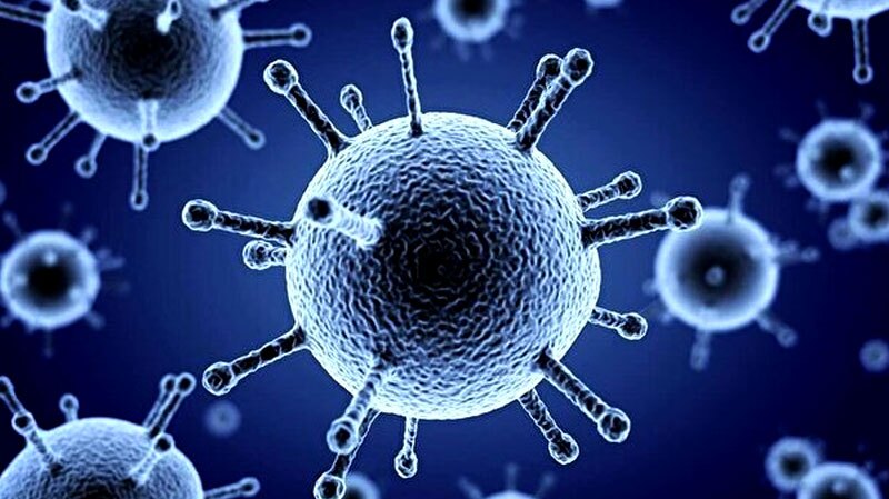آغاز پیک بیماریهای تنفسی با گردش ویروس سرماخوردگی آغاز پیک بیماریهای تنفسی با گردش ویروس سرماخوردگی
