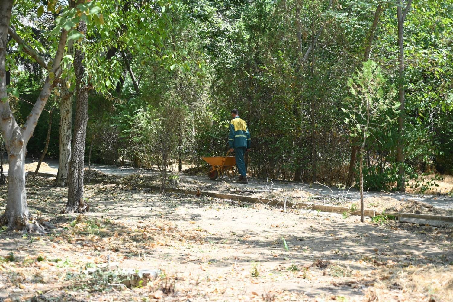 ۱۰ هزار مترمربع فضای سبز به بوستان‌های منطقه یک افزوده می‌شود