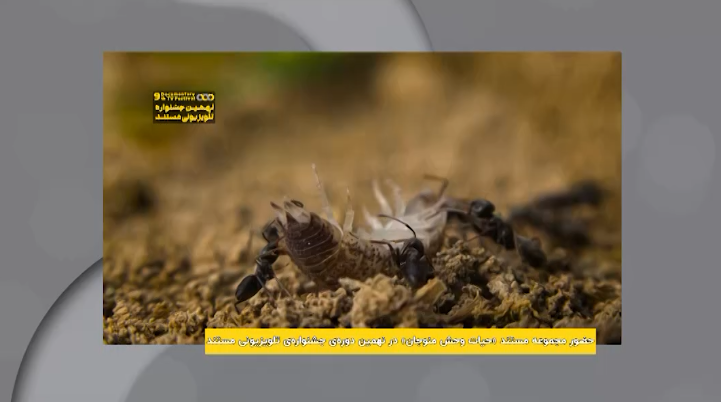 مروری بر چند فیلم و مستند از قاب تلویزیون مروری بر چند فیلم و مستند از قاب تلویزیون