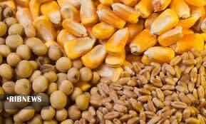 تأمین ۳ هزار و ۵۵۰ تن نهاده دامی برای واحد‌های تولیدی خراسان شمالی