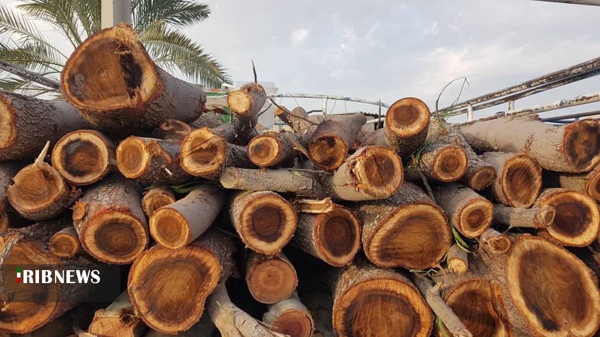 کشف و ضبط یک تن چوب جنگلی قاچاق در گرمه