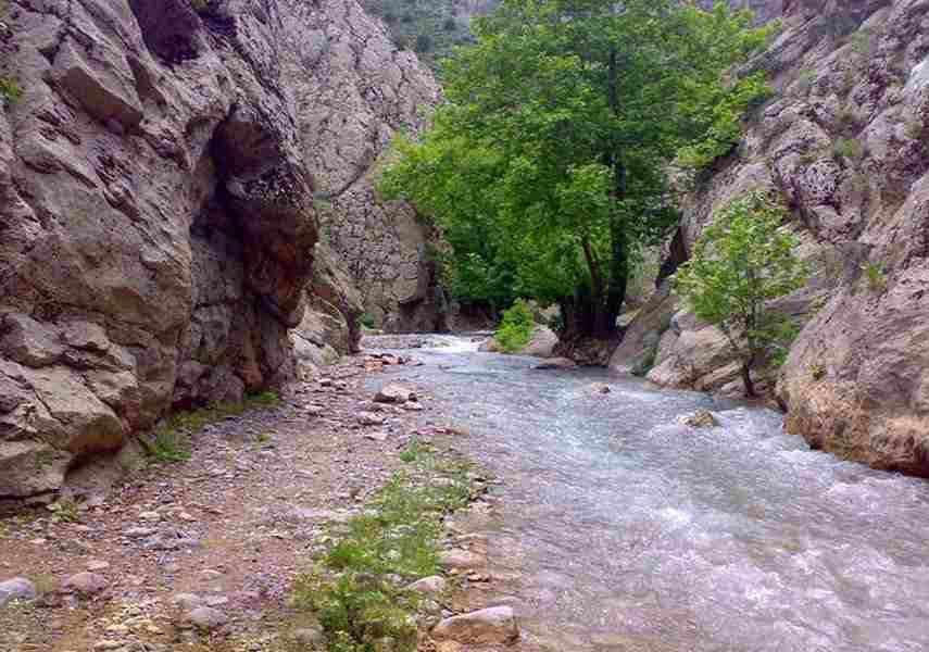 آب‌های مرزی مشهد و خراسان رضوی را به راحتی از دست می‌دهیم