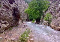 ضرورت بهره مندی از ظرفیت آب‌های مرزی خراسان رضوی