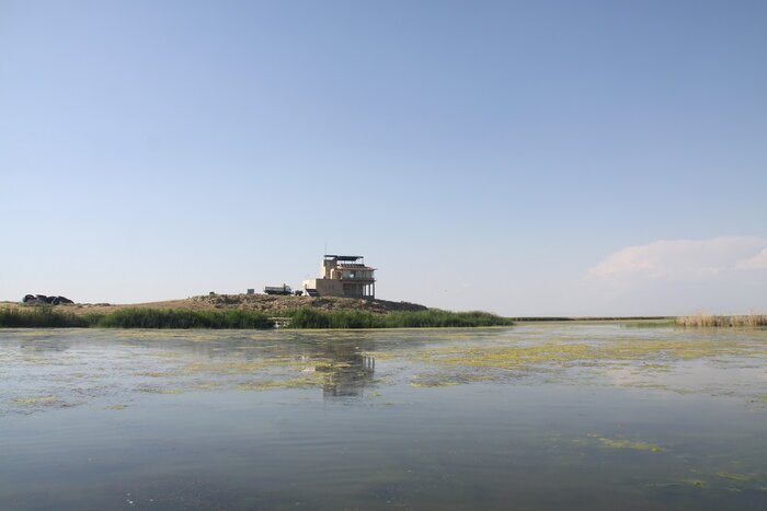 نزولات آسمانی حیات دوباره به تالاب کانیبرازان مهاباد بخشید نزولات آسمانی حیات دوباره به تالاب کانیبرازان مهاباد بخشید