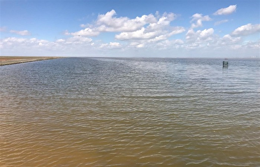 از خشکی تالاب الله‌آباد قزوین تا بحران خلیج گرگان