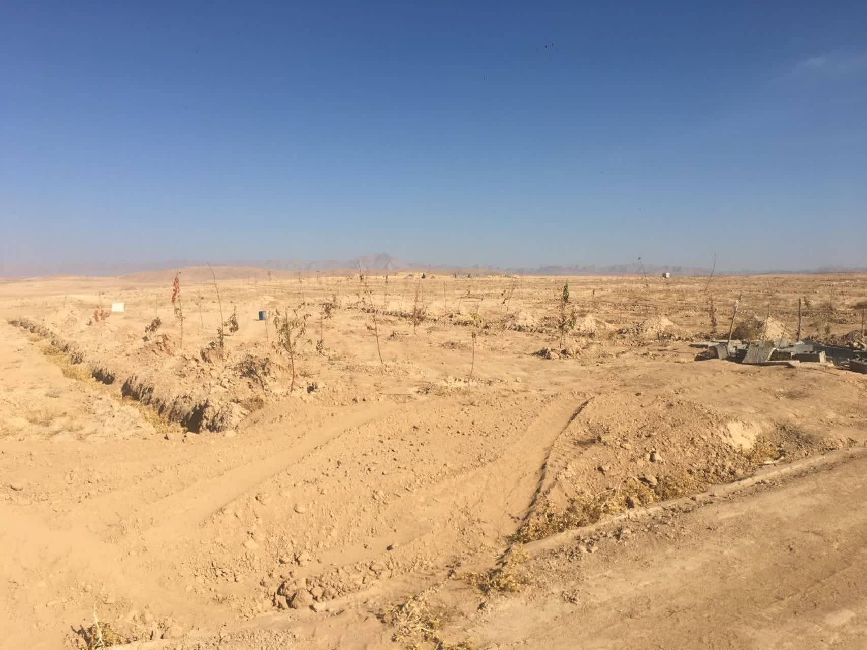 آزادسازی ۹ هکتار از اراضی کشاورزی دهستان کارده