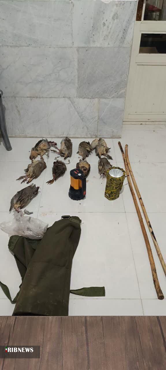 دو شکارچی کبک در نقطه صفر مرزی سملقان دستگیر شدند 