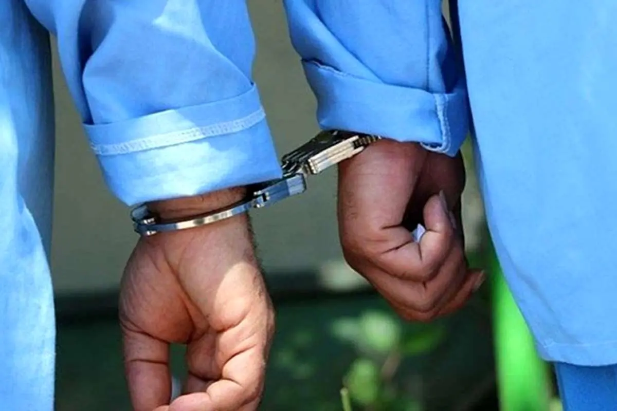 دستگیری ۱۰۰ سارق در جهرم