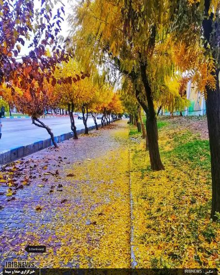 زیبایی های خرم آباد در فصل پائیز شهر زیبایی ها
عکس: سعیده دریکوند